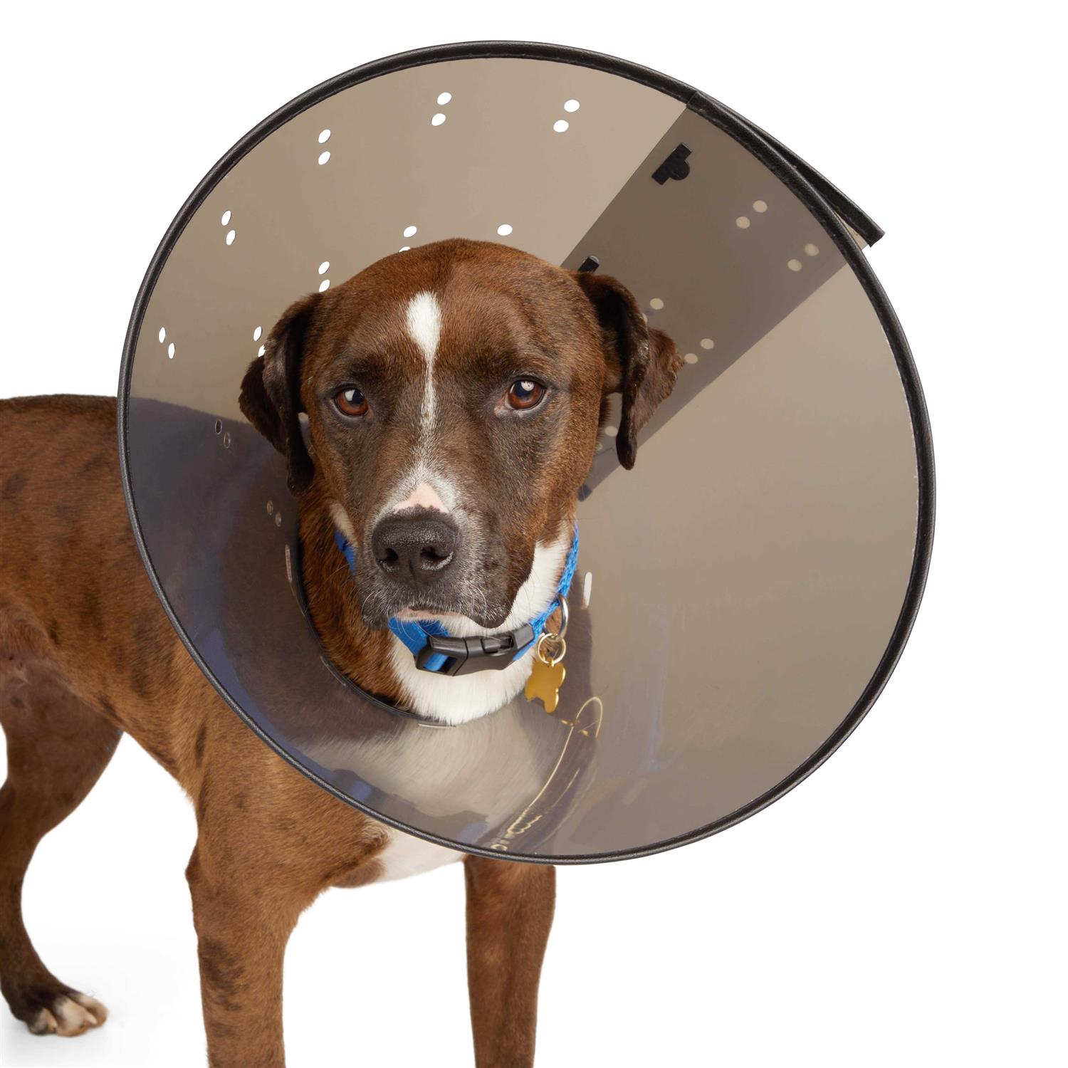 Alternative view of Well & Good Recovery Cone Collar