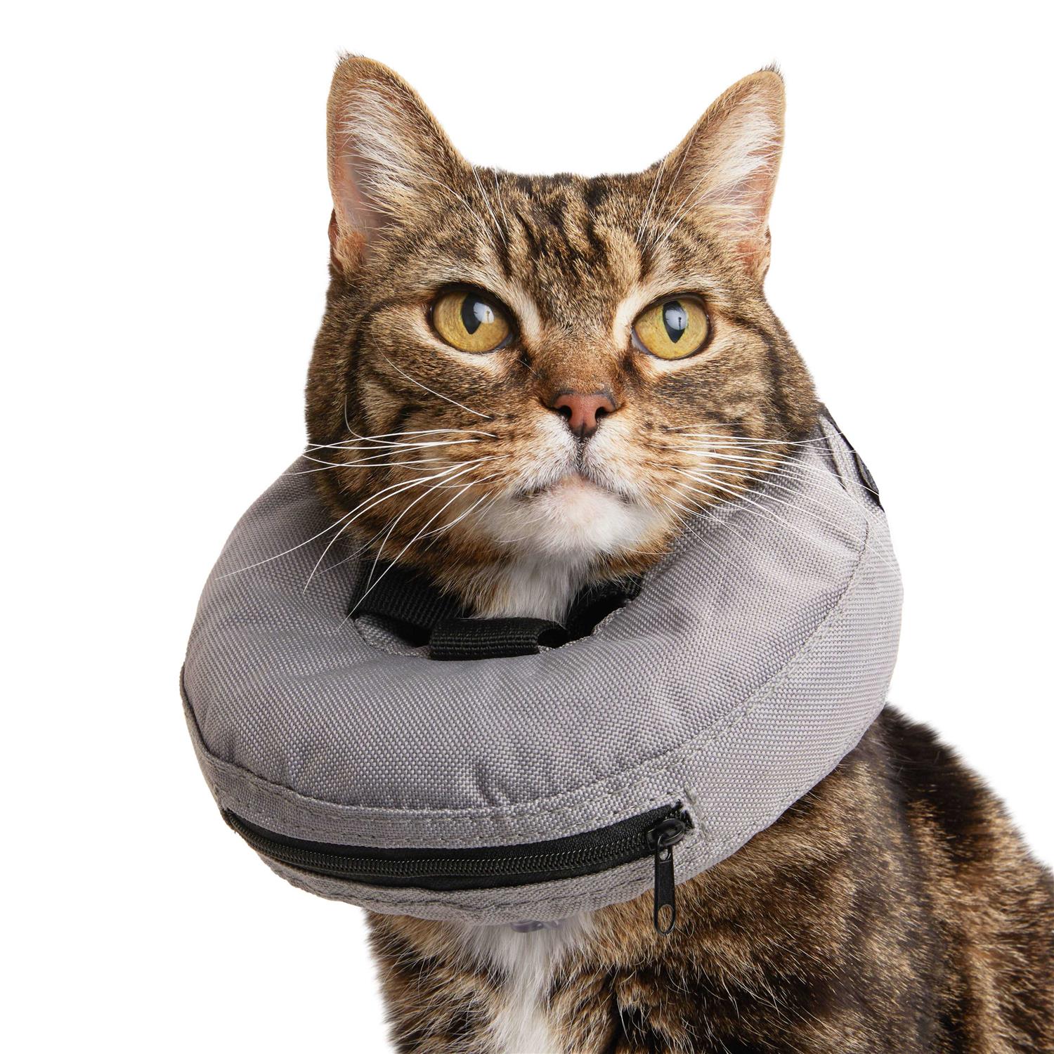 Alternative view of Well & Good Inflatable Recovery Cat Collar