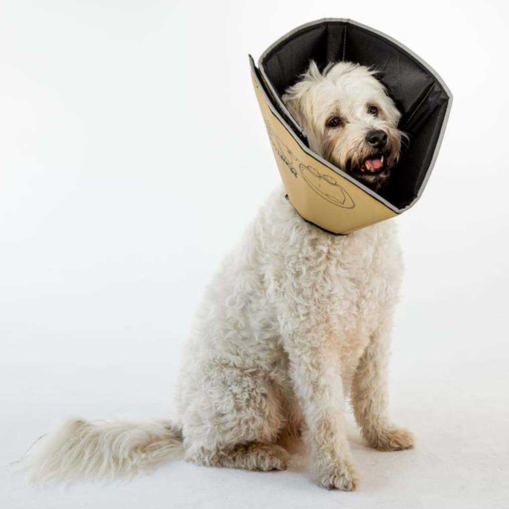 Comfy Cone Collar