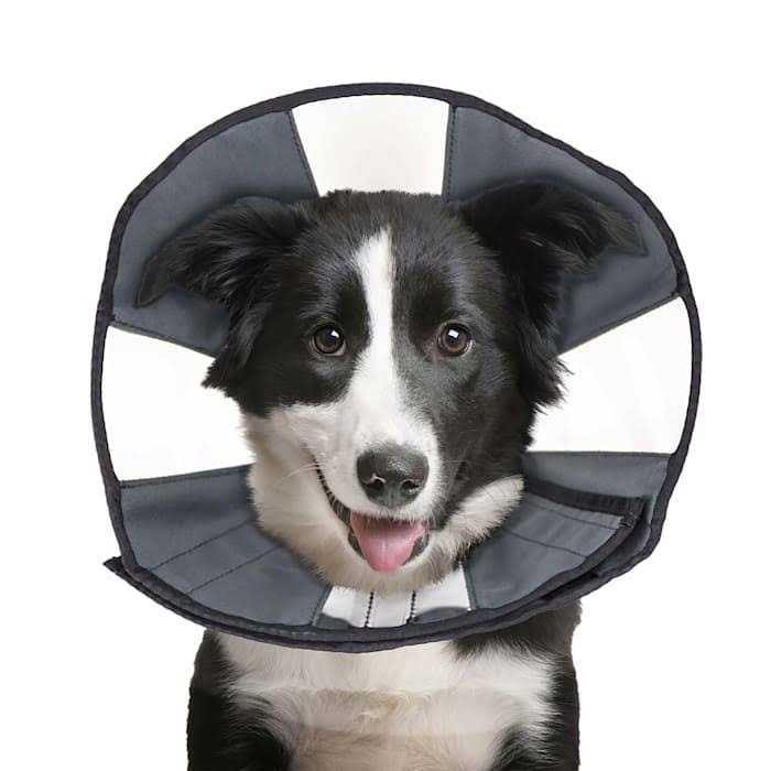 ZenPet ProCone Pet E-Collar for Dogs and Cats