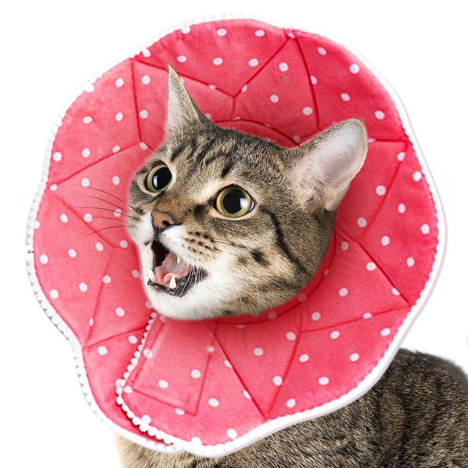 Sungrow Soft e Collar for Small Dogs & Cats After Surgery Recovery Cone to Stop Licking
