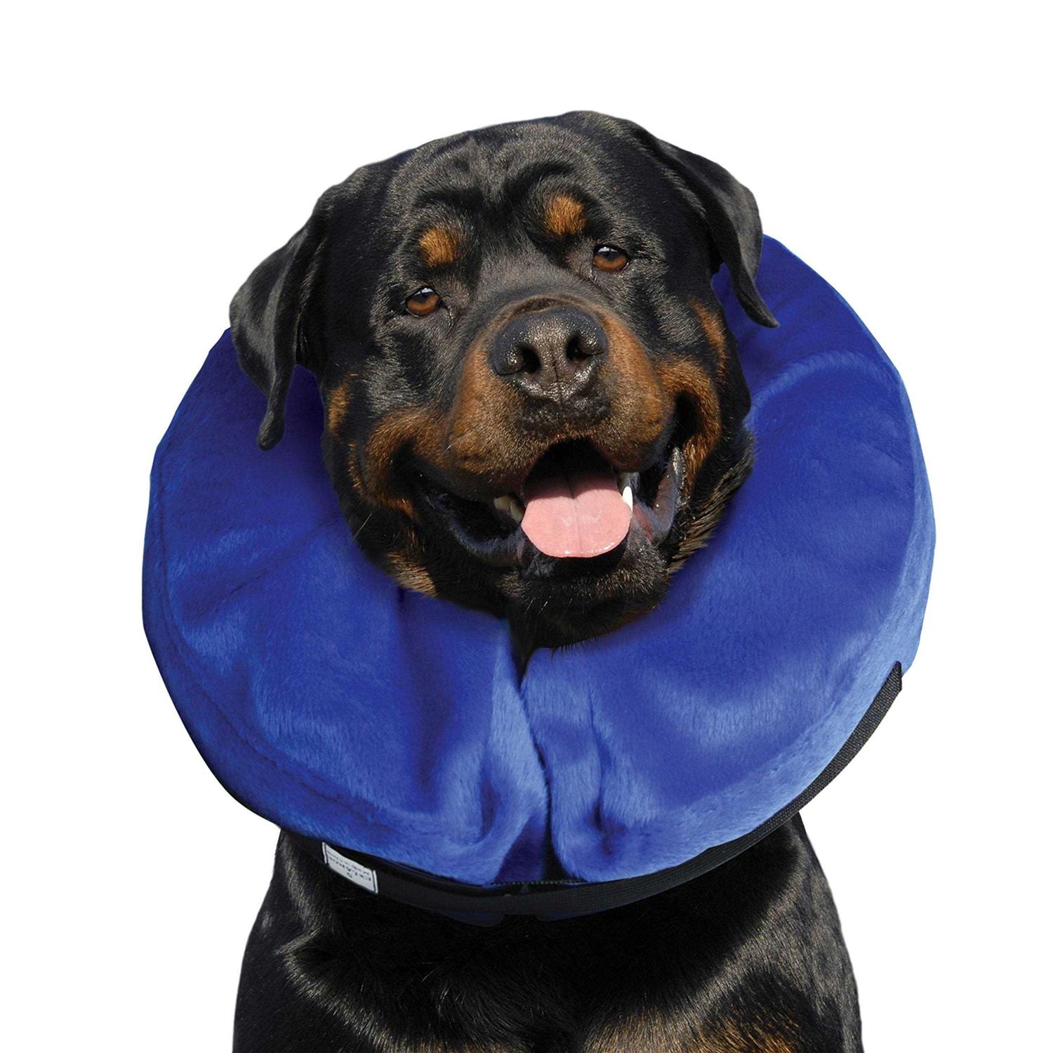 Alternative view of Kong Cloud Collar