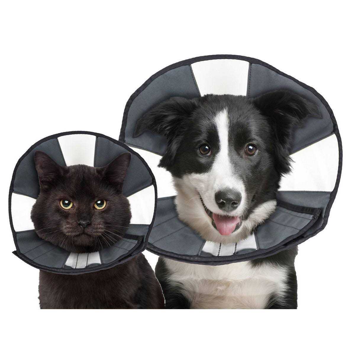 Alternative view of ZenPet Procone Soft Recovery Collar