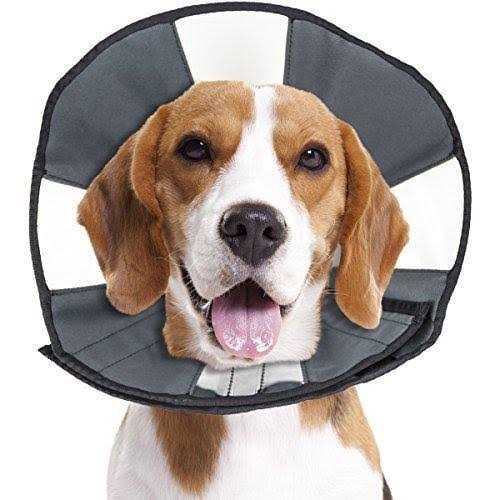 ZenPet Procone Soft Recovery Collar