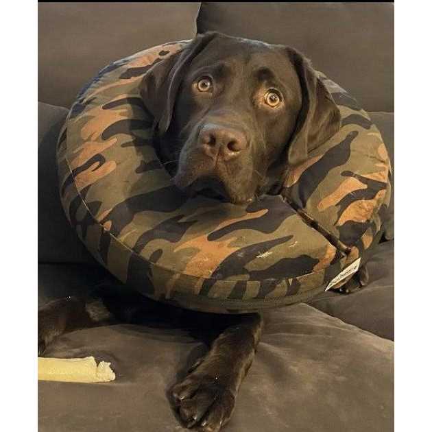 Alternative view of COMFURT Collar Dog & Cat Recovery Collar