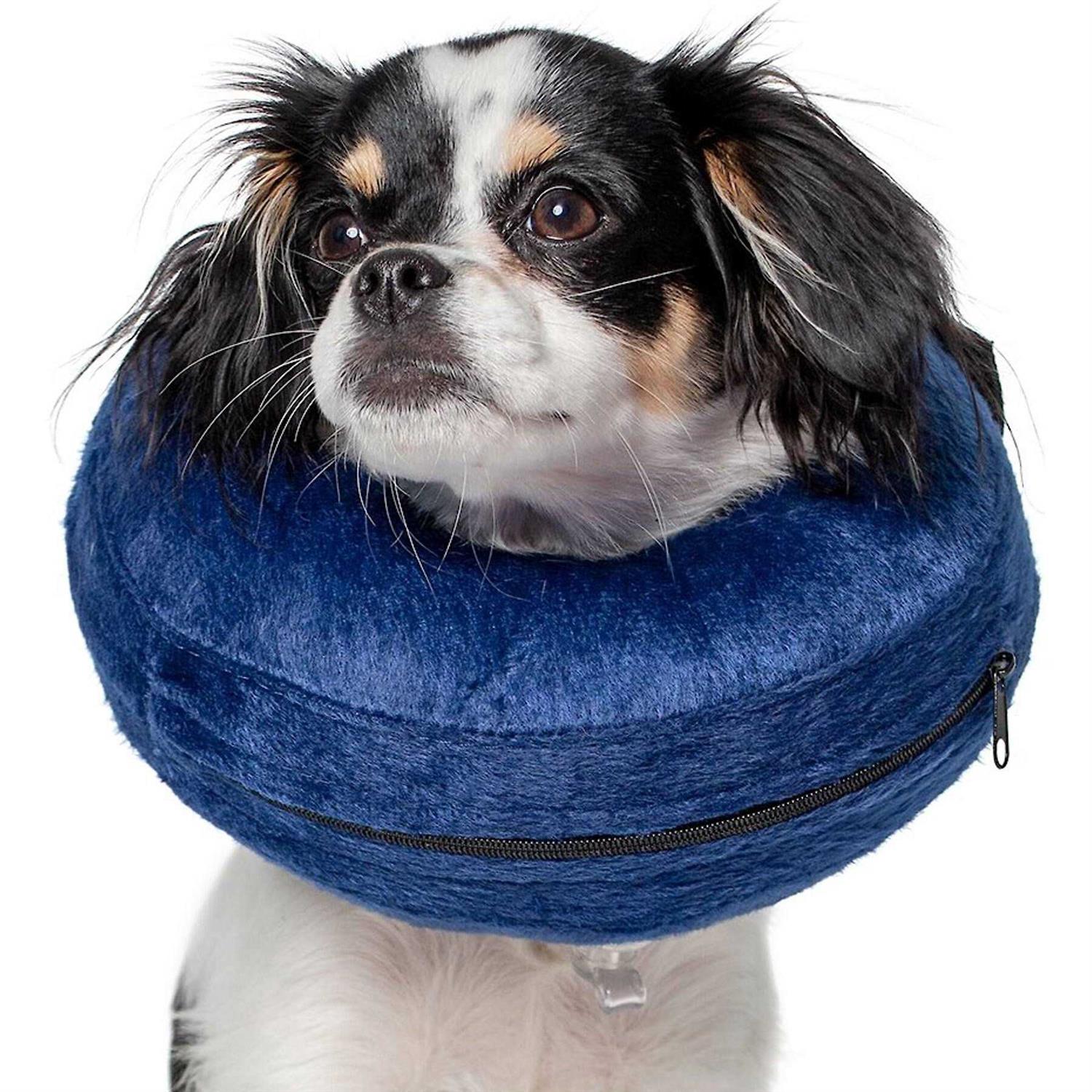 Calm Paws Basic Inflatable Collar