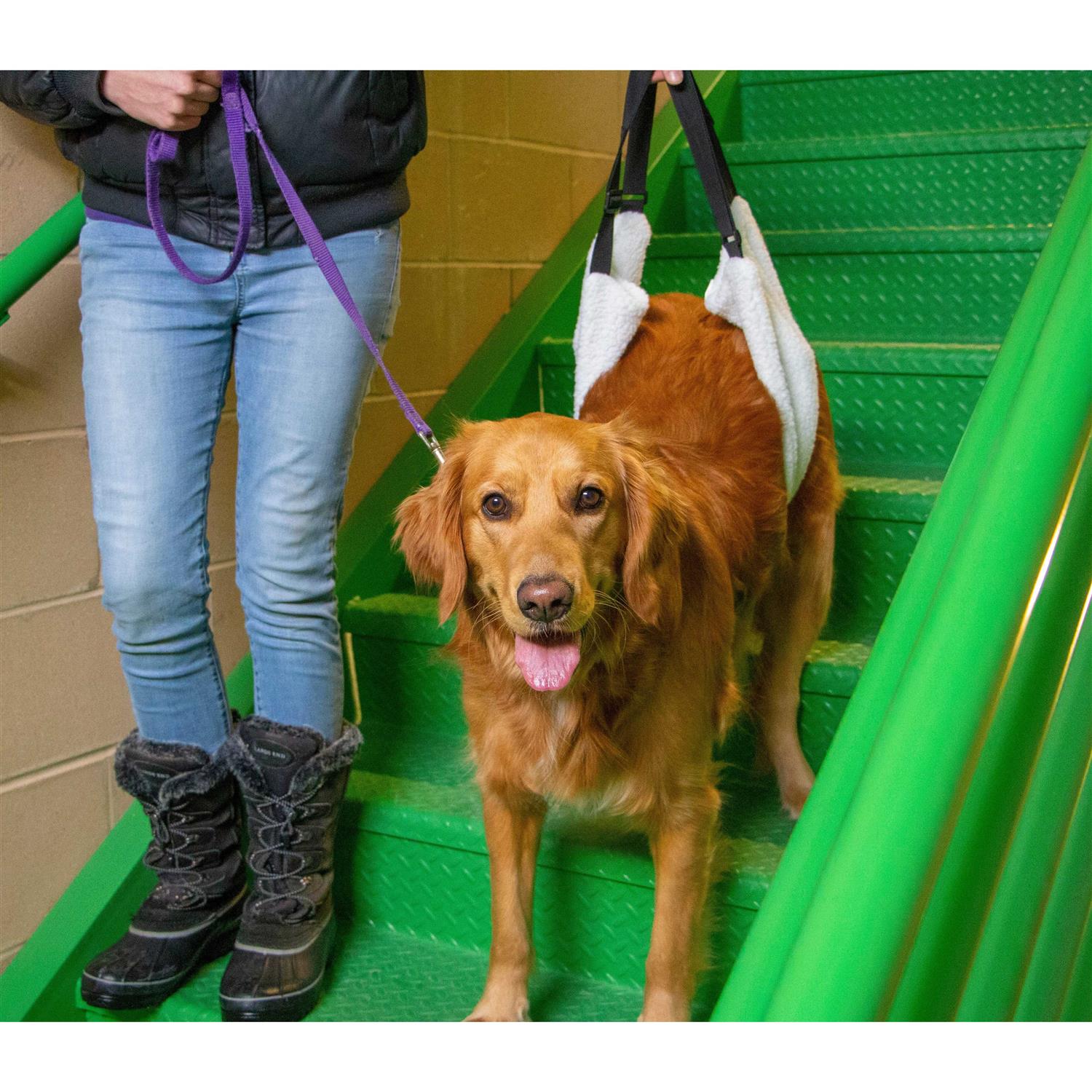 Alternative view of Labra Dog Veterinarian Approved Plush Soft Canine Sling Adjustable Straps