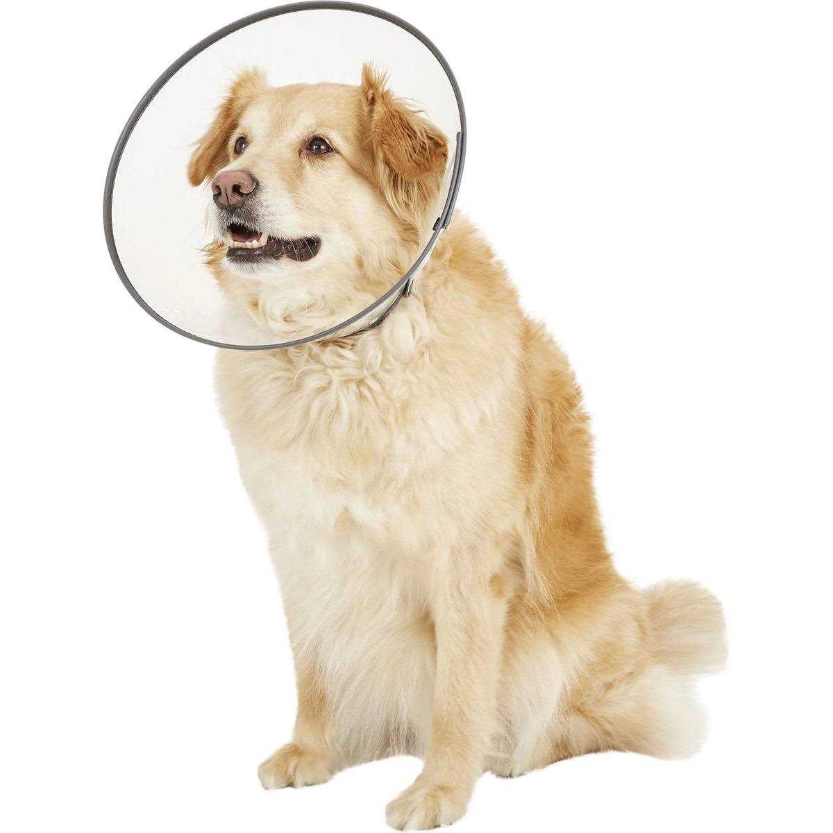 Alternative view of Dogswell Remedy Recovery E-Collar