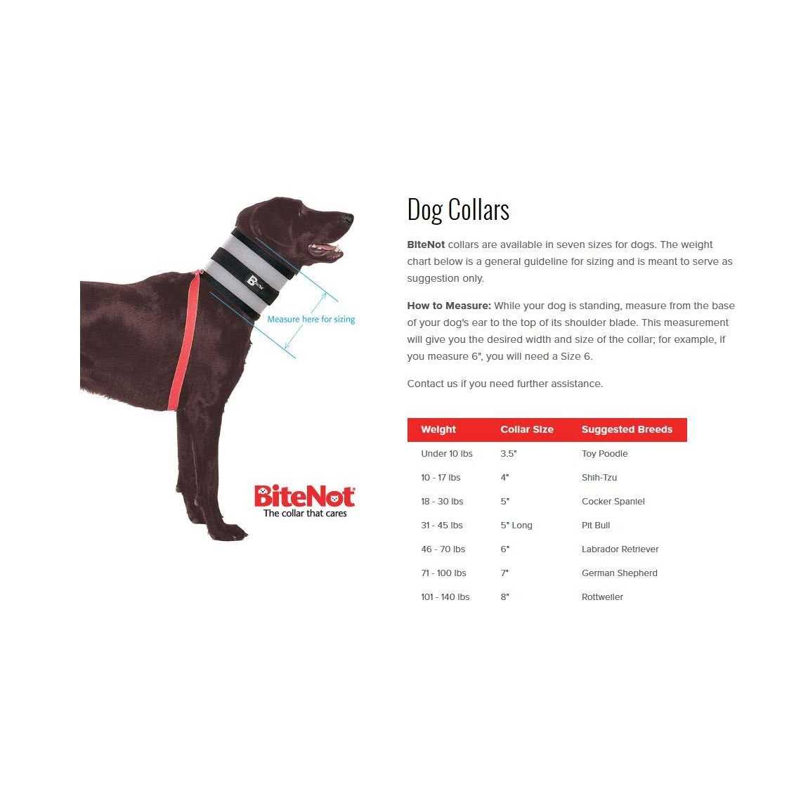 Alternative view of BiteNot Collar