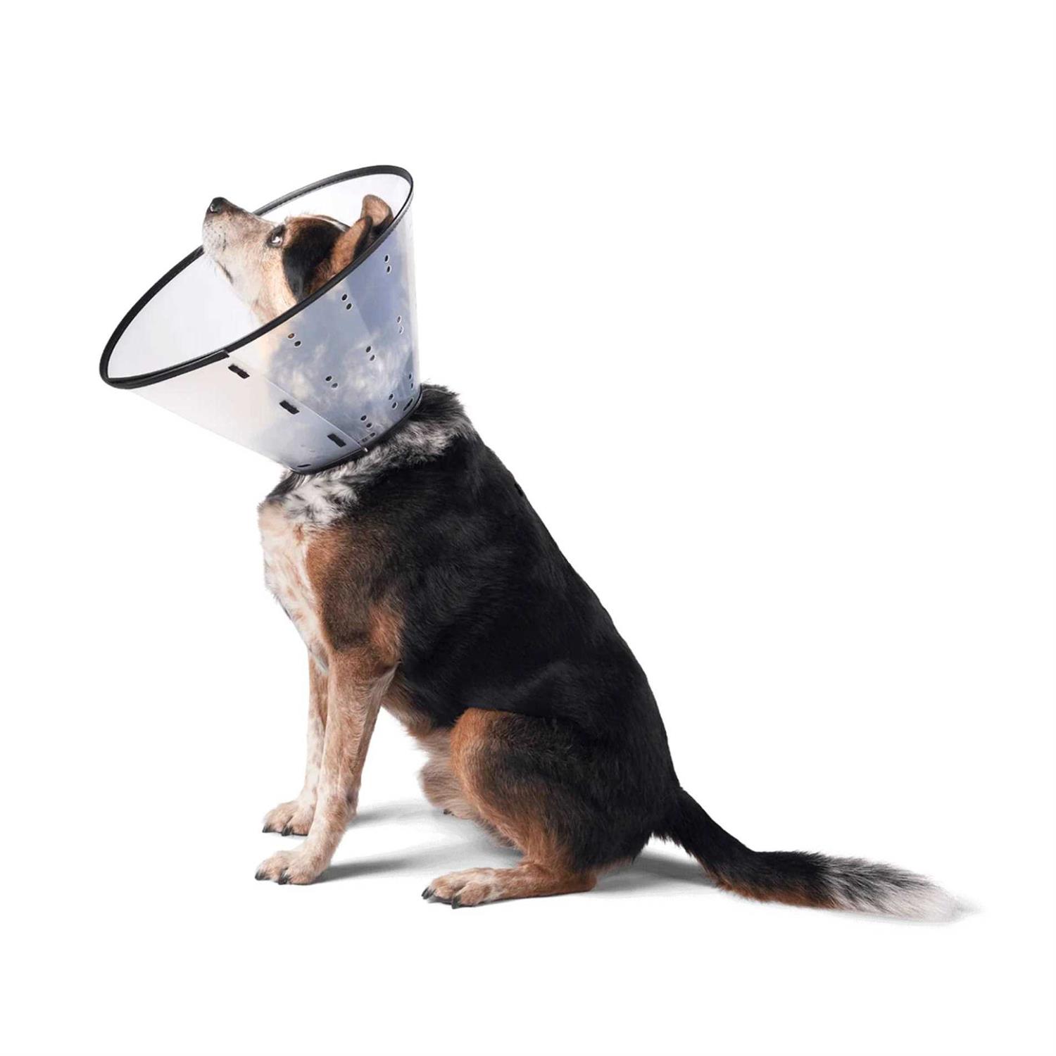 Alternative view of Remedy & Recovery Dogswell E-Collar