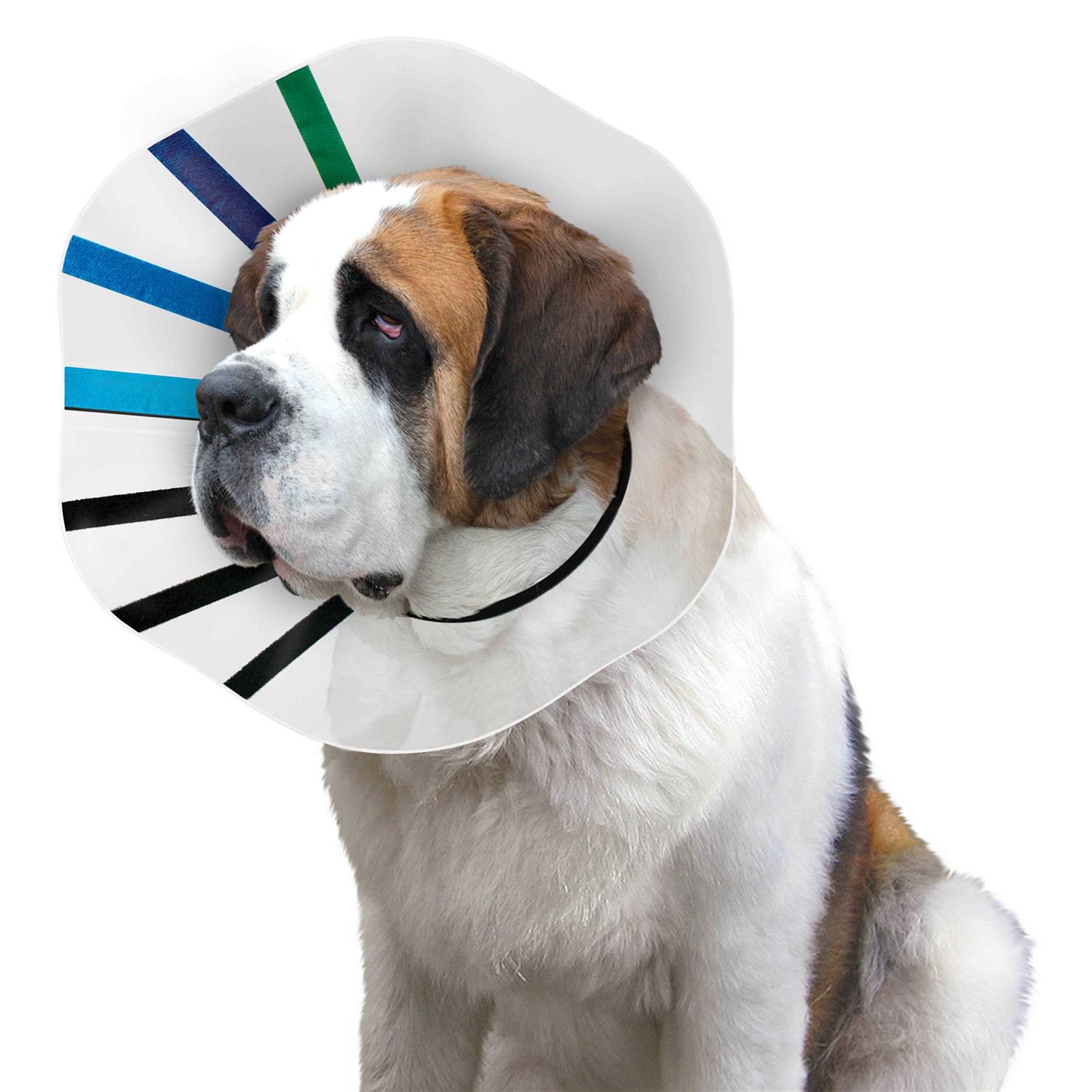 Alternative view of Kong EZ Clear Collar