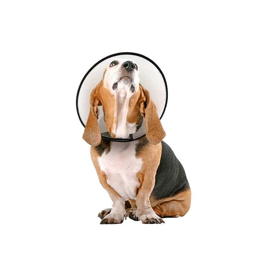 Alternative view of Vet Worthy Protective Cone Collar