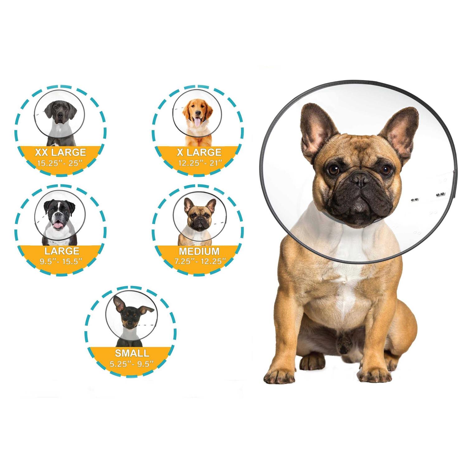 Alternative view of ZenPet E Clear Recovery Collar