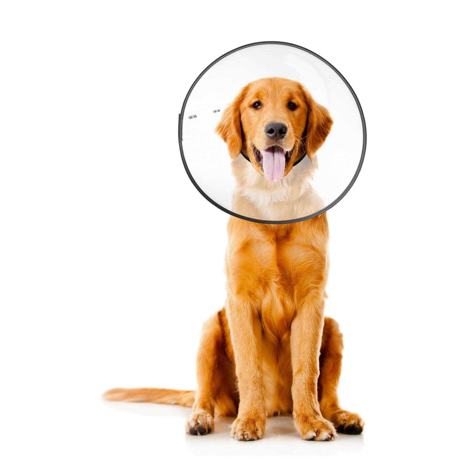 Alternative view of ZenPet E Clear Recovery Collar
