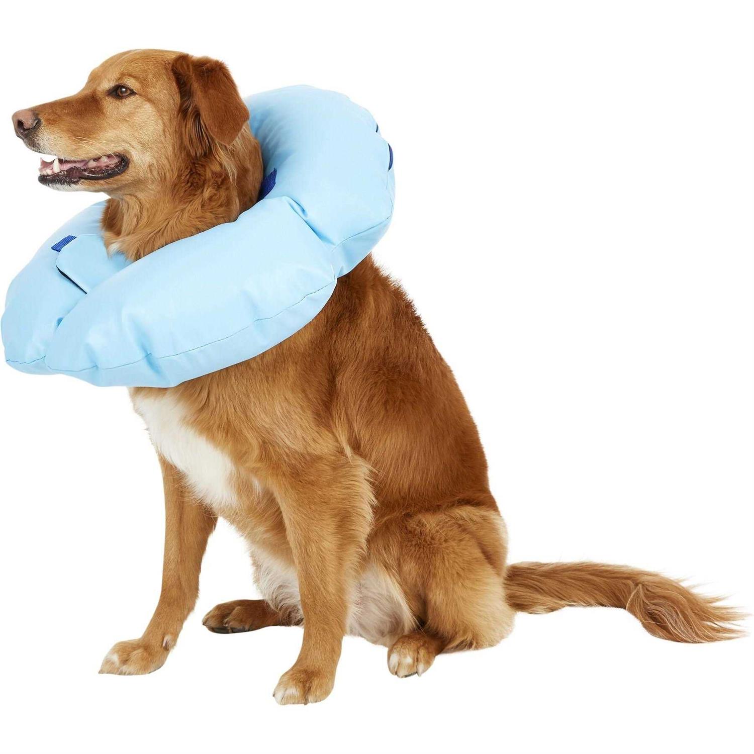 Alternative view of Dogswell Stay Rite Xtra Strong Inflatable Recovery Dog Collar