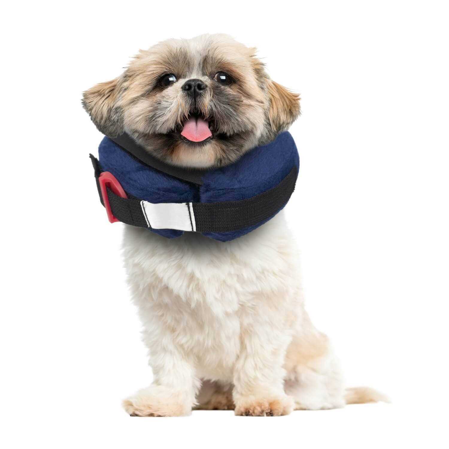 Alternative view of Calm Paws Inflatable Protective Collar
