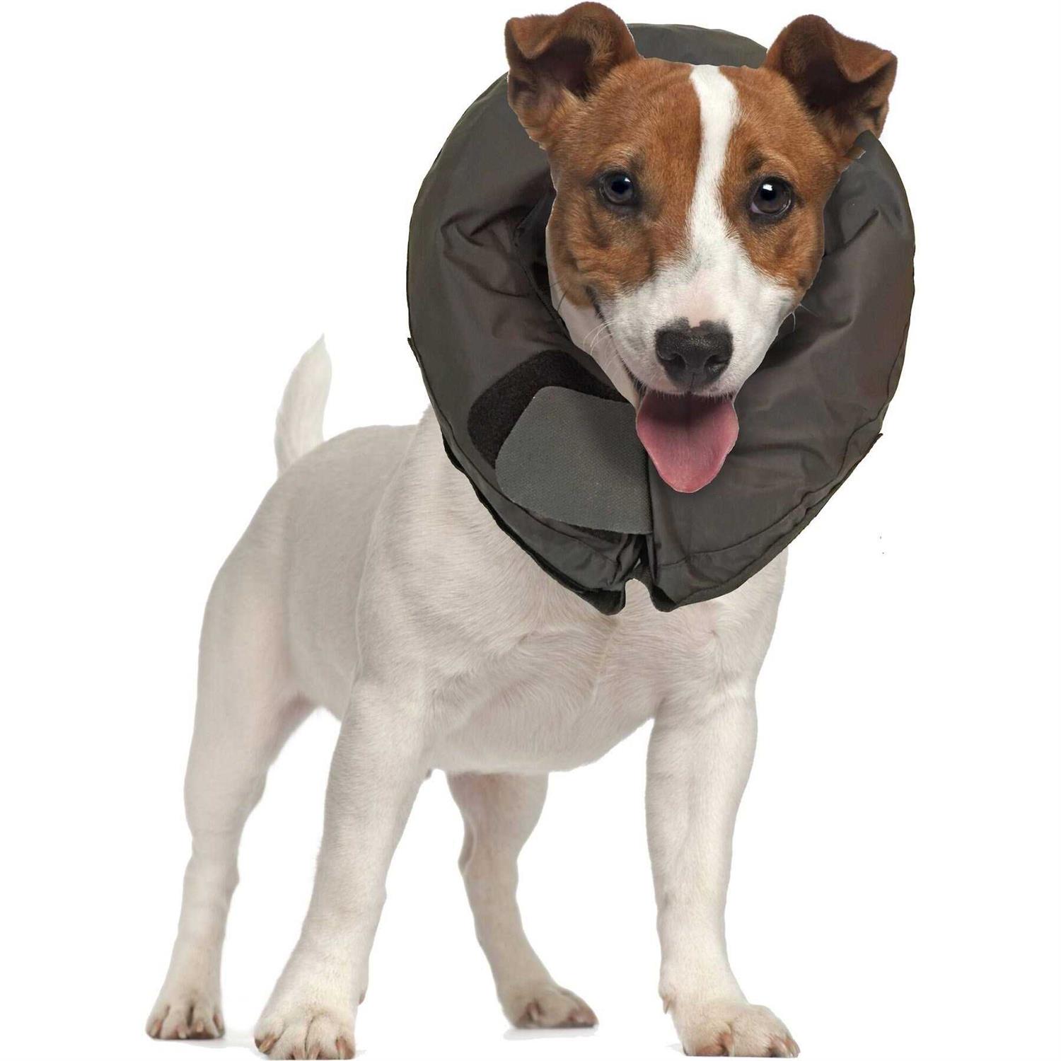 Vet Worthy Inflatable Protective Dog Collar