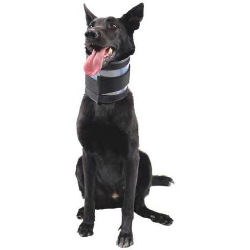 Alternative view of Bite Free Collar Cervical Collar KVP