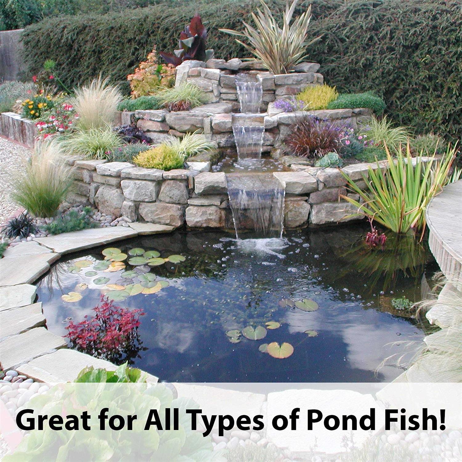 Alternative view of Kaytee Koi's Choice Premium Fish Food