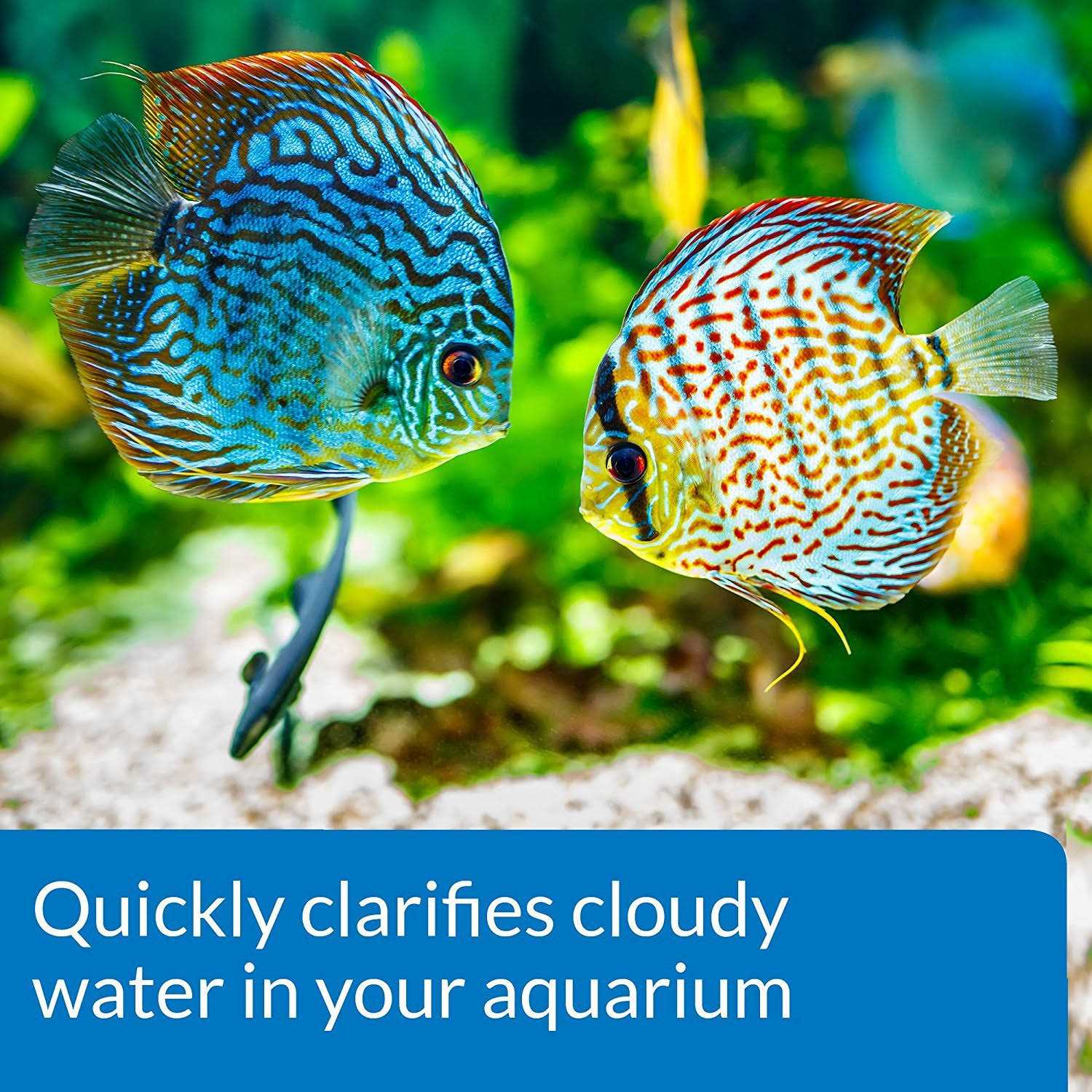 Alternative view of API Aquarium Accu-Clear