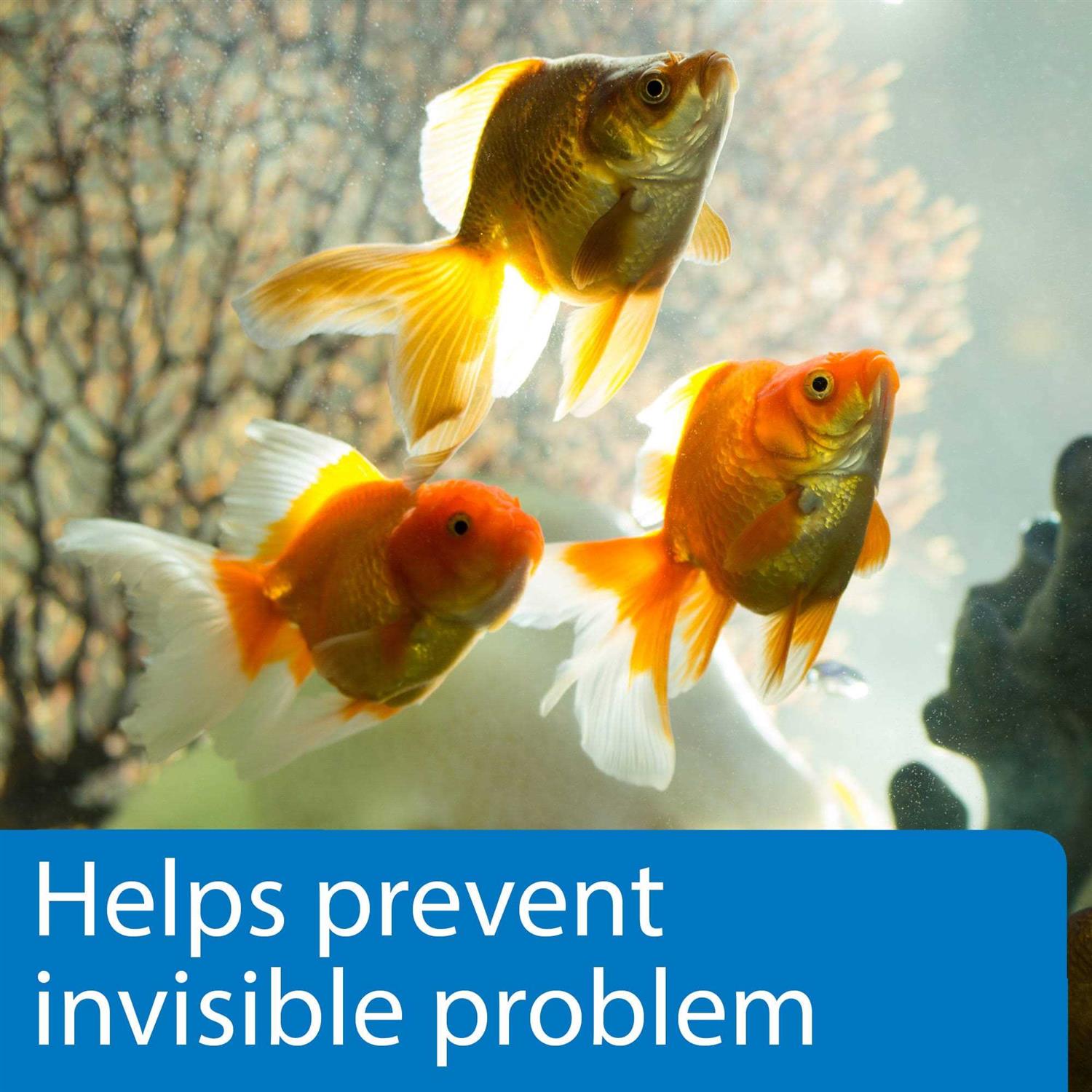 Alternative view of API 5 in 1 Aquarium Test Strips