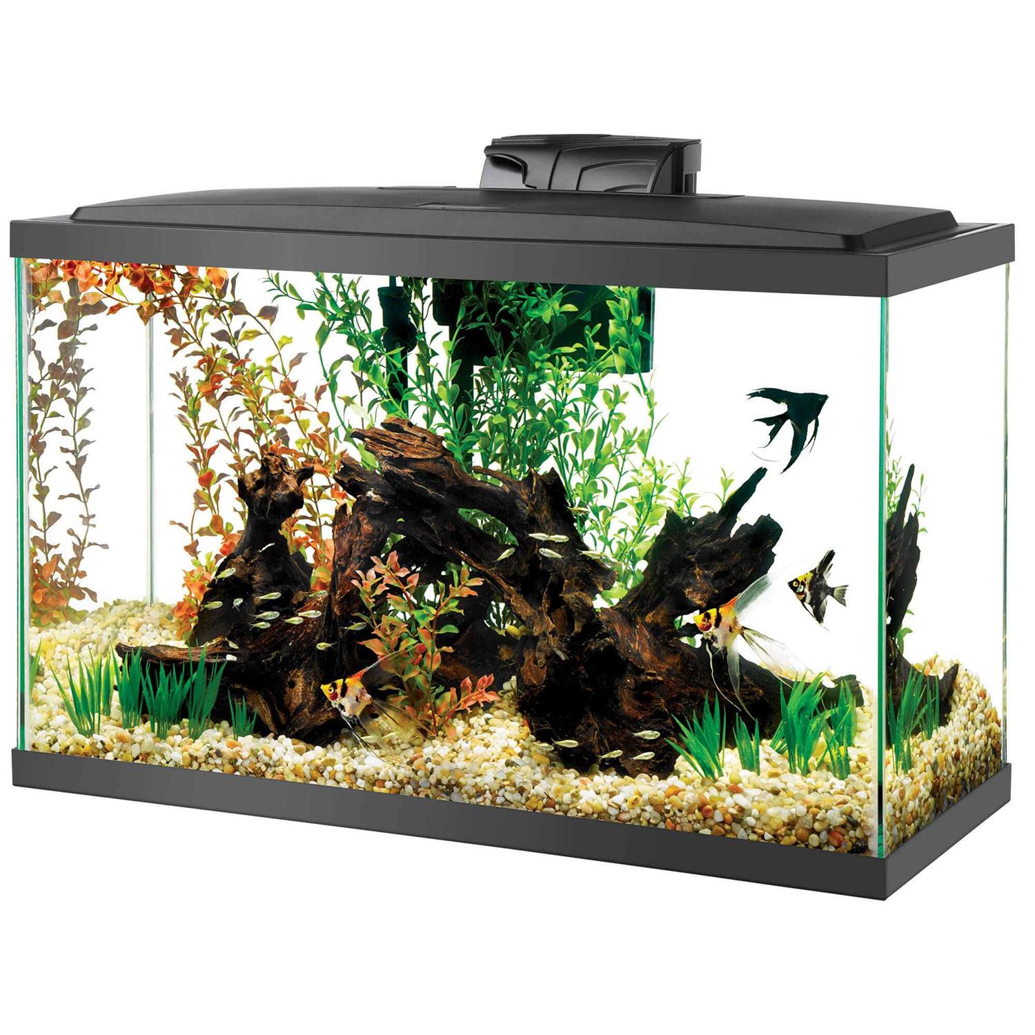 Alternative view of Aqueon Aquarium Kit LED