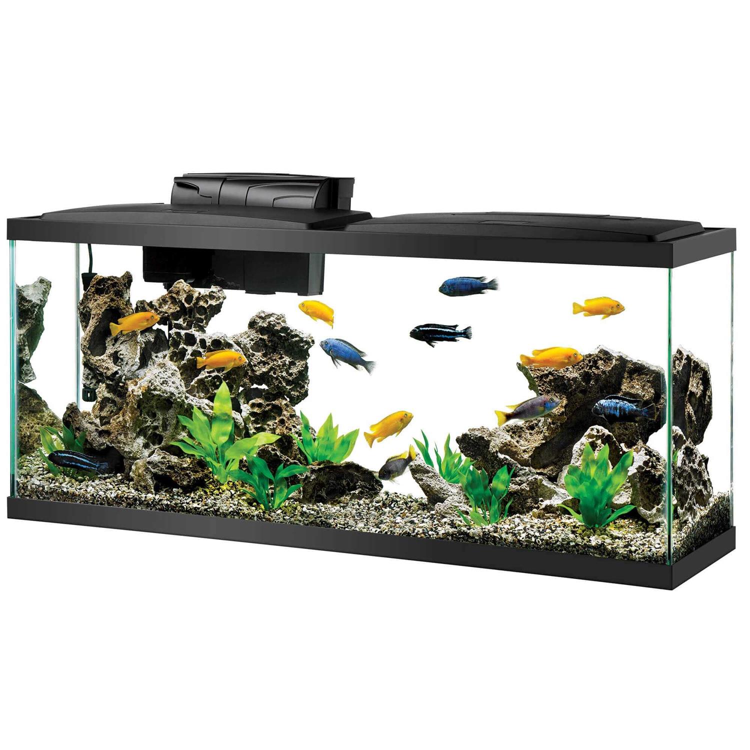 Alternative view of Aqueon Aquarium Kit LED
