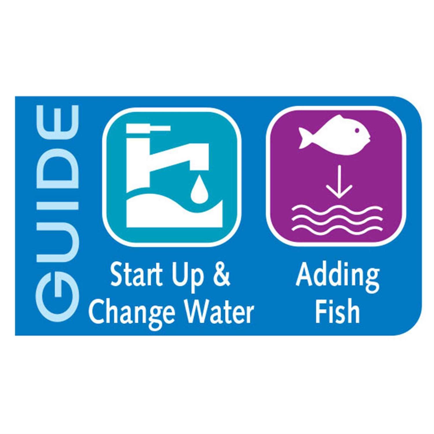 Alternative view of API Quick Start