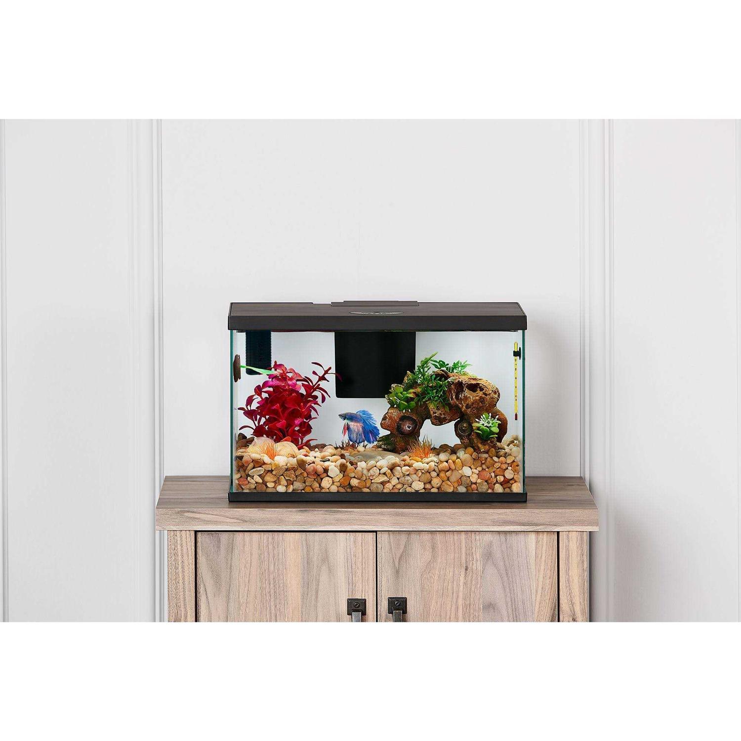 Top Fin Betta Tank Starter Kital
