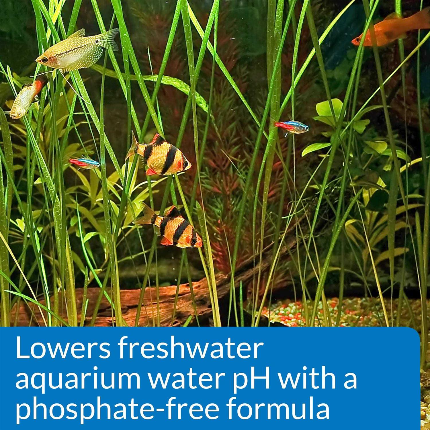 Alternative view of API pH Down Aquarium pH