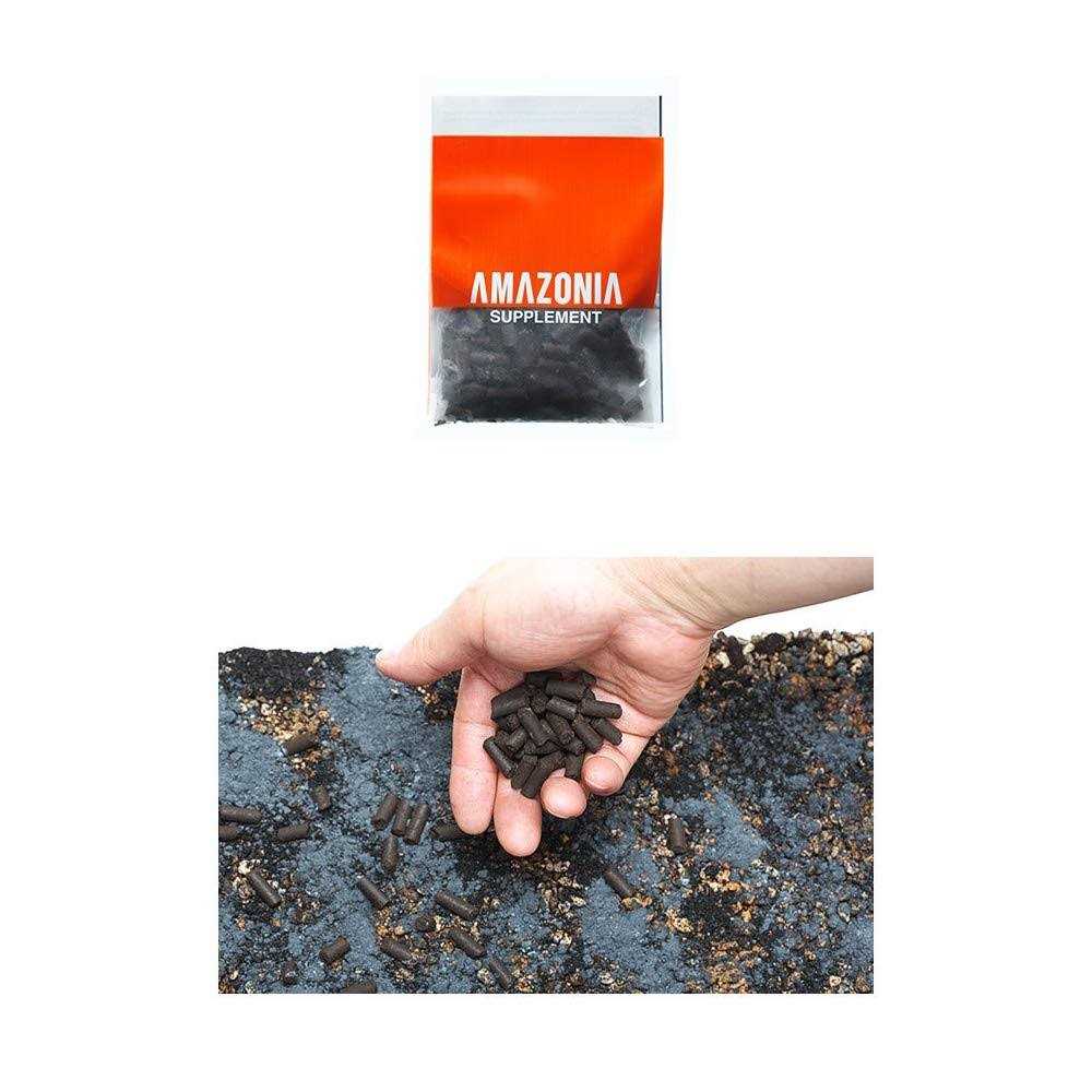 Alternative view of ADA Aqua Soil Amazonia Ver 2