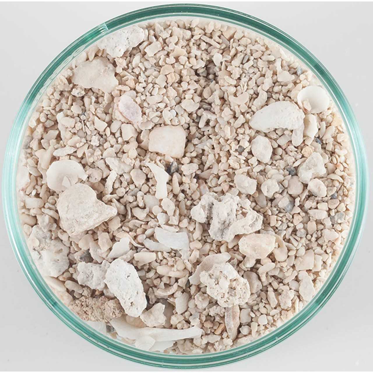 Alternative view of CaribSea Dry Aragonite Seafloor Special Grade Reef Sand
