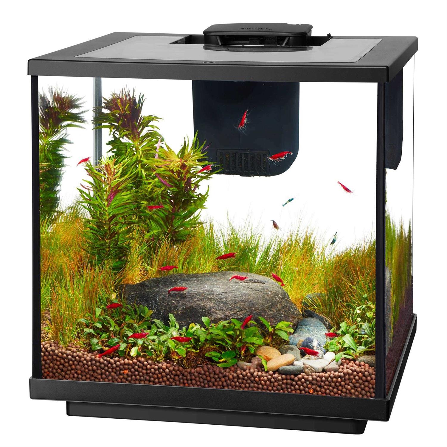 Alternative view of Aqueon 7.5 Gallon LED Shrimp Aquarium Kit