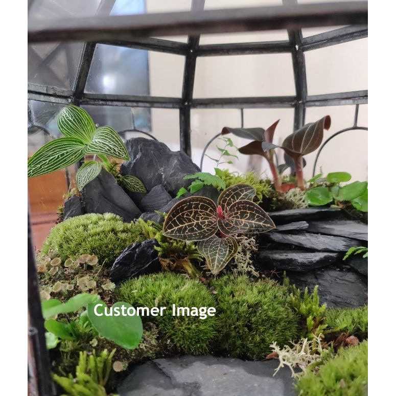 Alternative view of Natural Slate Stone -1 to 3 inch Rocks For Miniature Or Fairy Garden