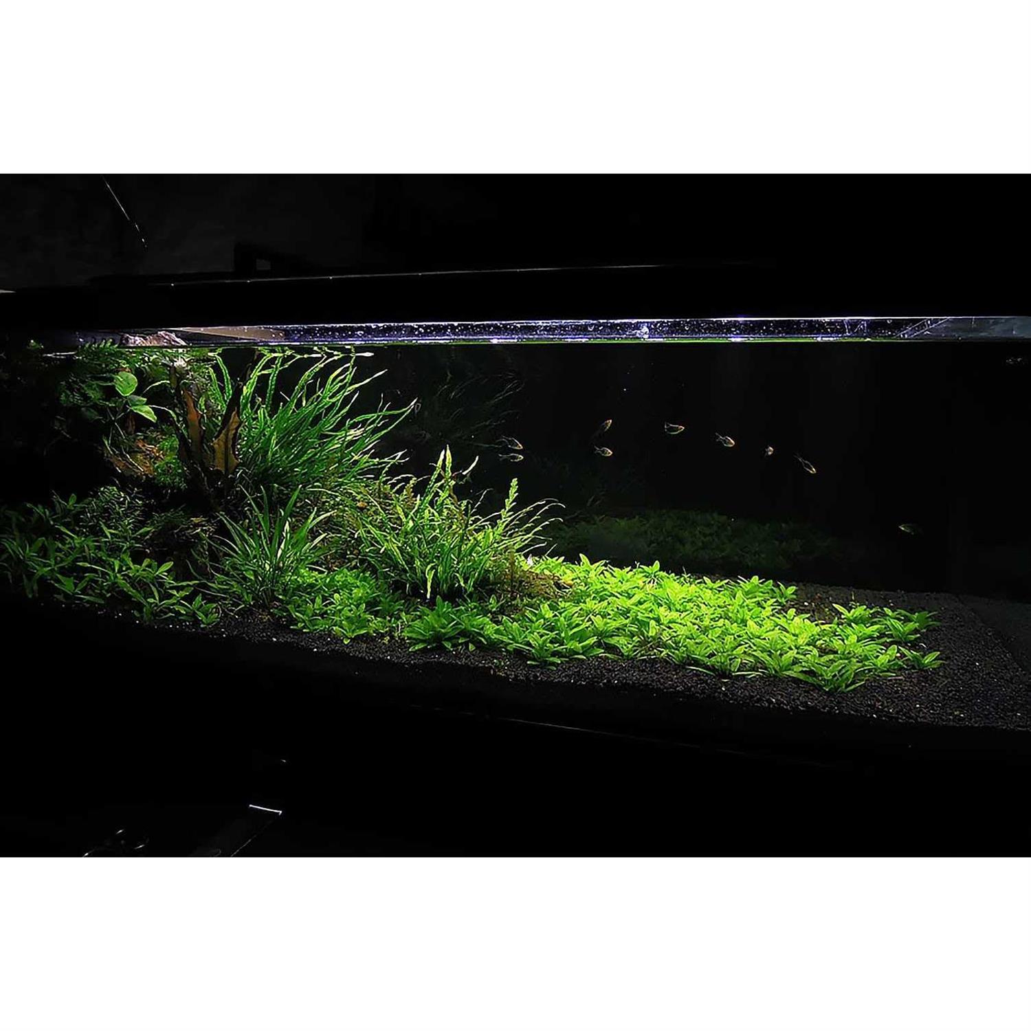 Alternative view of Ultum Nature Systems Controsoil Substrate