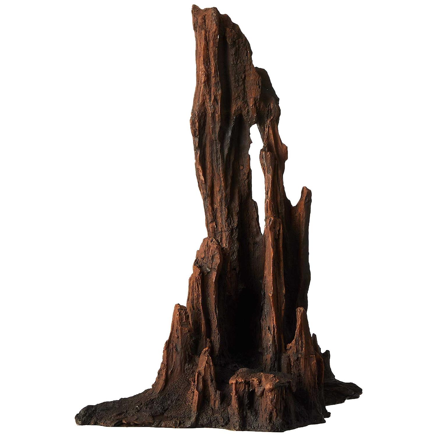 Underwater Treasures Petrified Wood