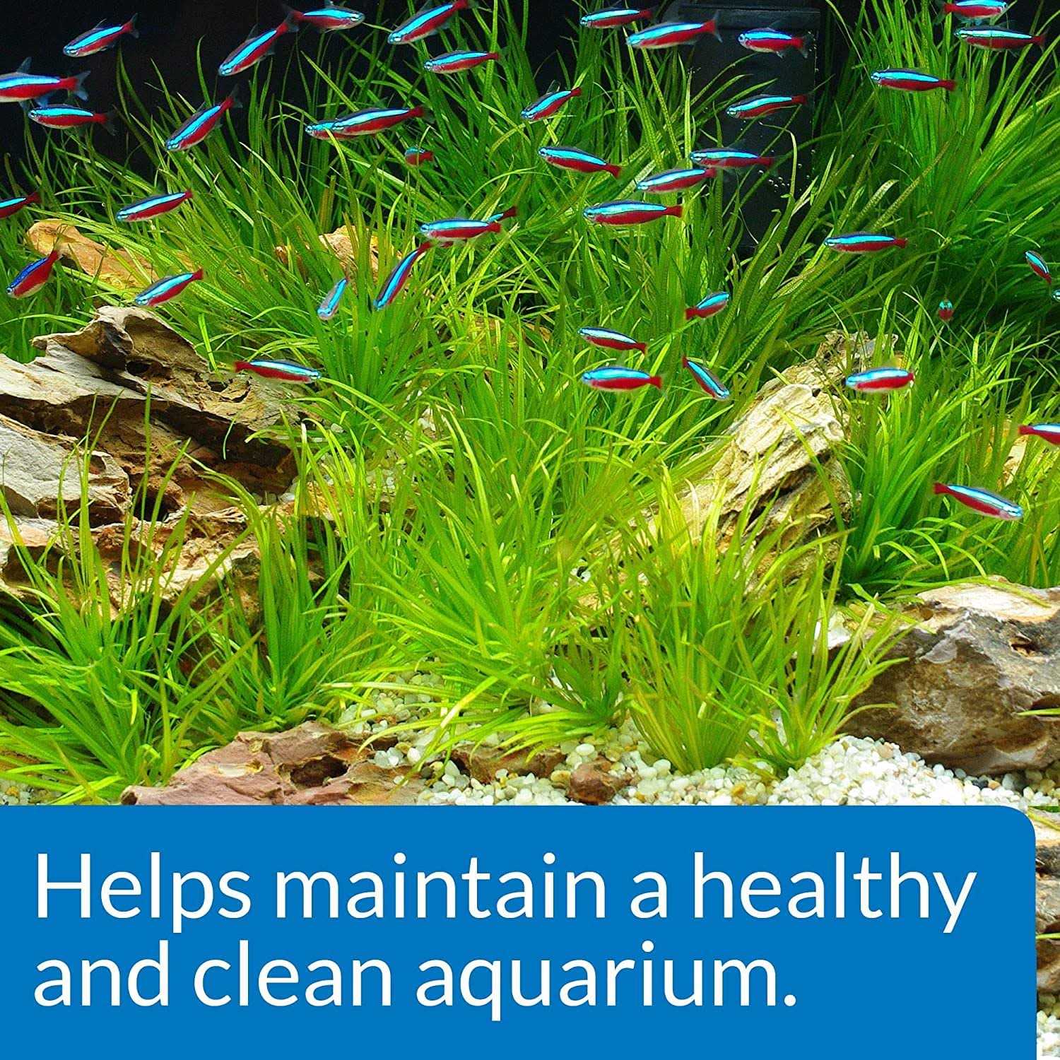 Alternative view of API Aquarium Start Up Pack
