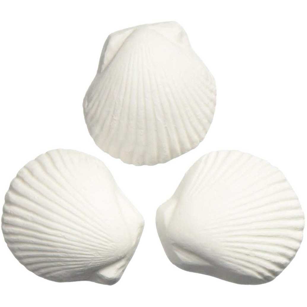 Alternative view of Weco Wonder Shell-Large
