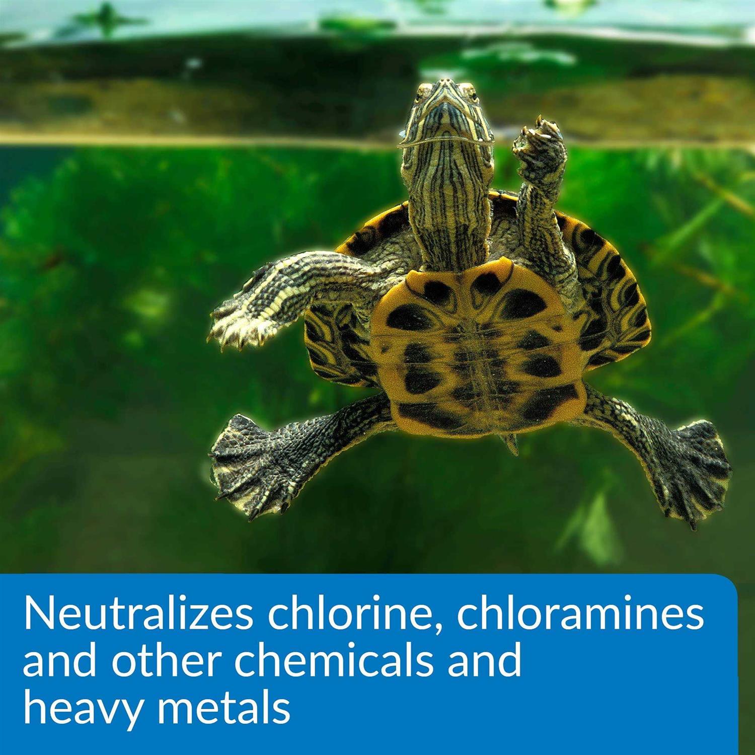 Alternative view of API Turtle Water Conditioner