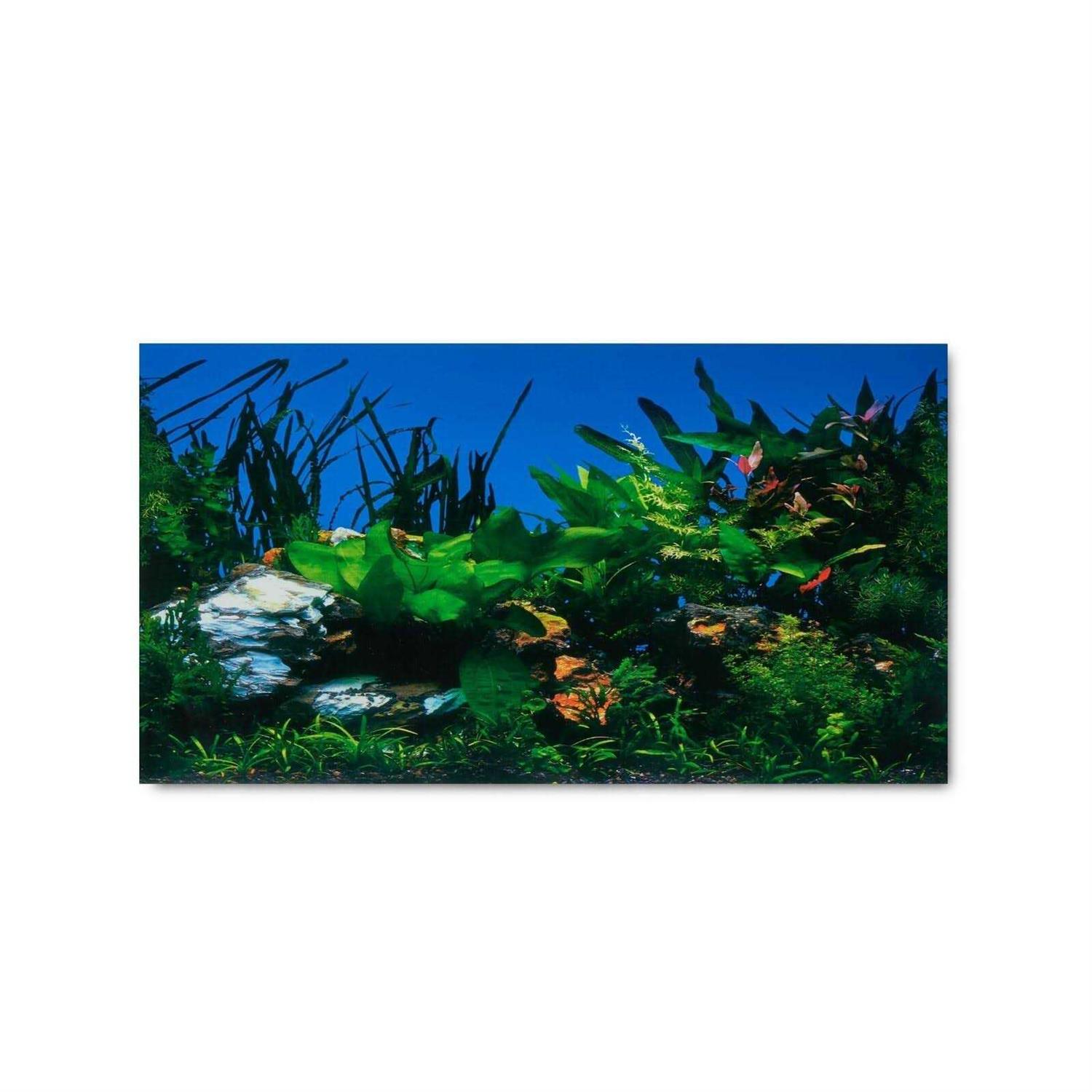 Alternative view of Aqua Culture Two Sided Aquarium Background