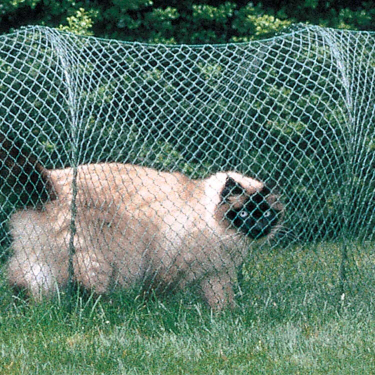 Alternative view of Kittywalk Lawn Version Outdoor Cat Enclosure