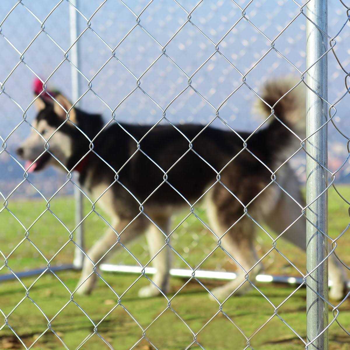 Alternative view of Gymax Large Pet Dog Run House Kennel Cage 7.5' x7.5' Backyard Playpen