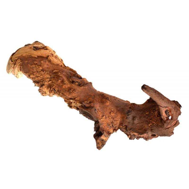 Alternative view of Zoo Med Mopani Wood