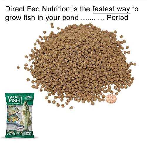 Alternative view of Aquatic Nutrition Giant Fish Grower