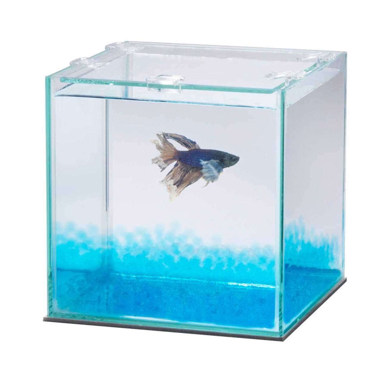 Alternative view of Aqueon Pure Betta Beads