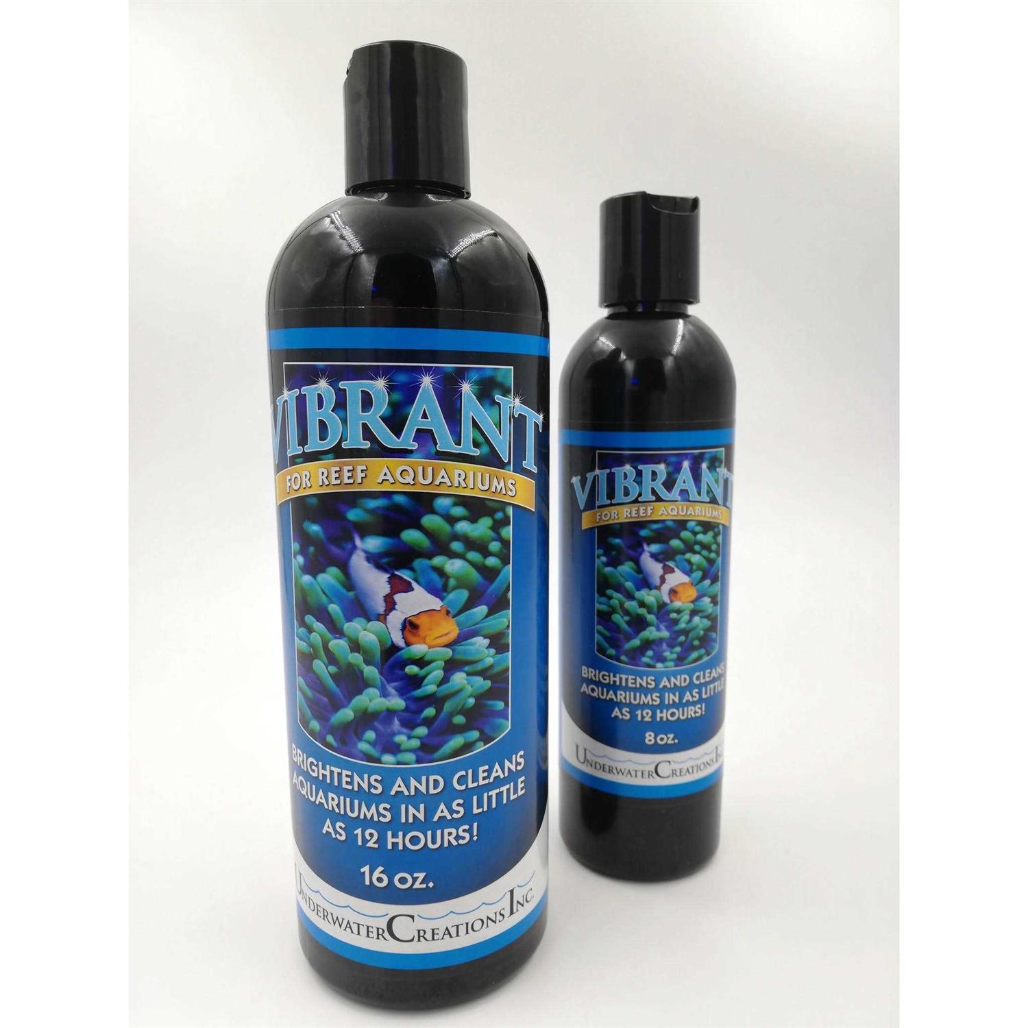 Vibrant Reef
