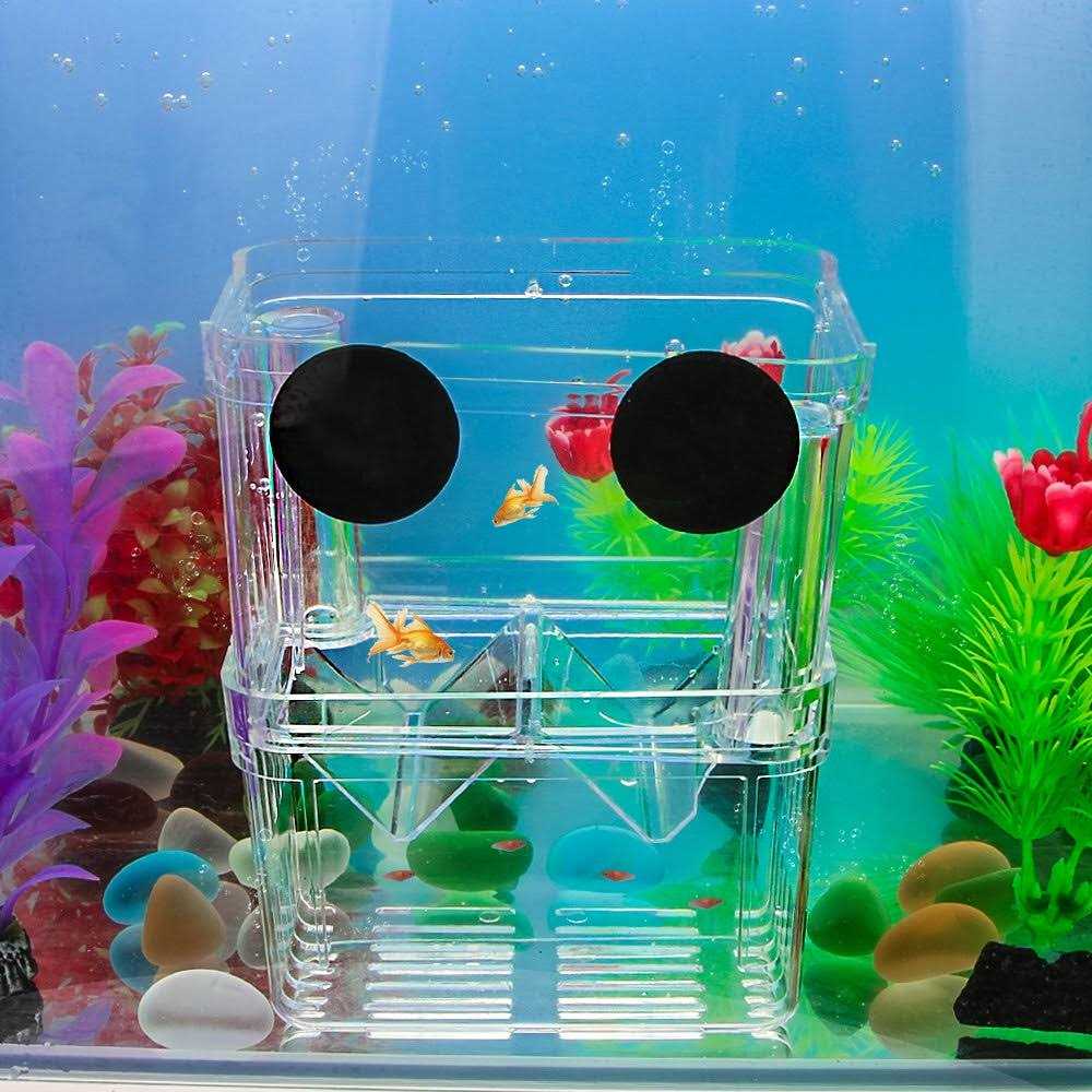 Alternative view of Senzeal Aquarium Fish Breeder Box Plastic Fish Isolation Breeding Box Hatching Incubator Box for Baby Fish Shrimp Clownfish Guppy