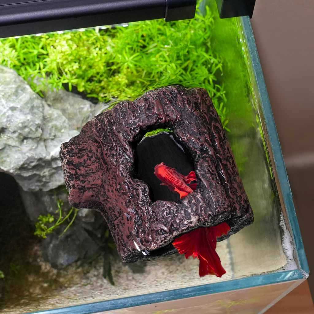 Alternative view of Zoo Med Betta Floating Log