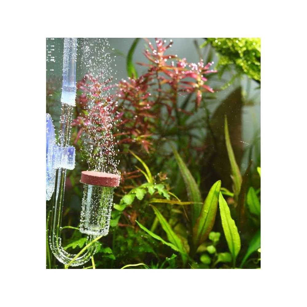Alternative view of Aquario Neo CO2