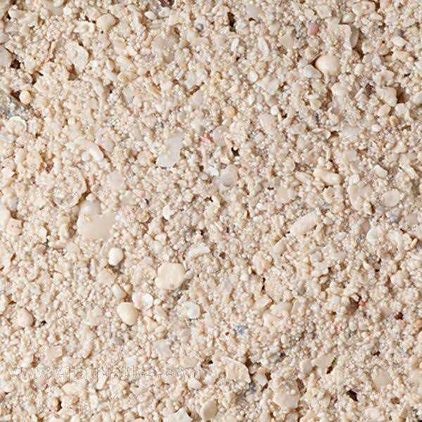 Alternative view of CaribSea Ocean Direct Caribbean Live Aquarium Sand